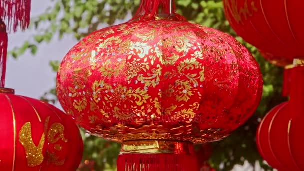 Lanternes chinoises sur le marché de rue — Video