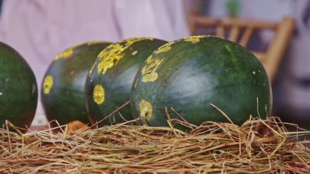 Decorated watermelons on table straw — Stock Video