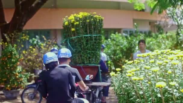 Homme conduit moto avec pot de chrysanthèmes — Video