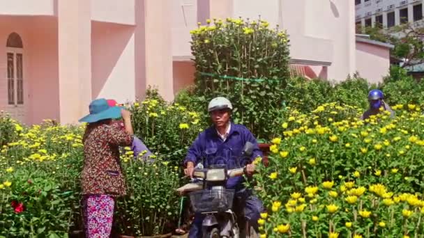 Hombre conduce moto con olla de crisantemos — Vídeos de Stock