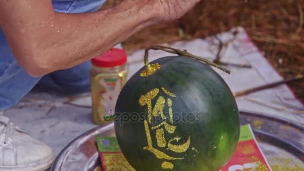 Man trekt foto met borstel op gesneden watermeloen — Stockvideo