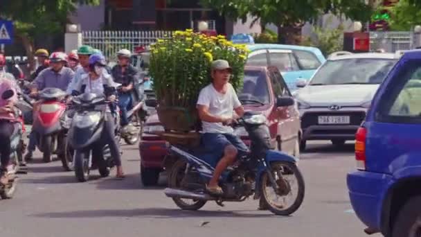 Hombre conduce moto con olla de crisantemos — Vídeo de stock