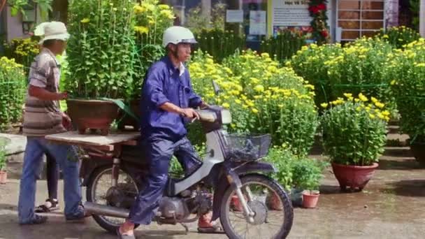 Homem dirige moto com pote de crisântemos — Vídeo de Stock