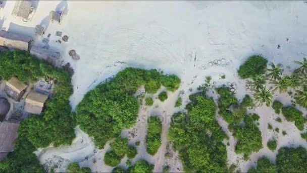 Strand met bomen en huizen over Oceaan — Stockvideo