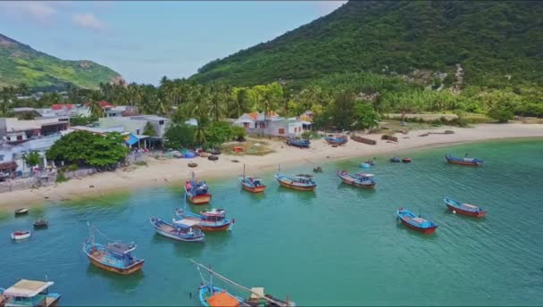 Mer calme avec navires et côte verte — Video