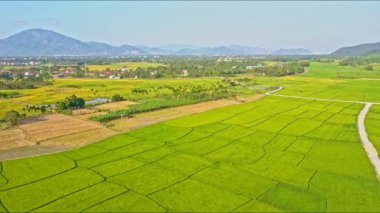 pirinç tarlaları bölünmüş araziler su kanalları ve yolları tarafından