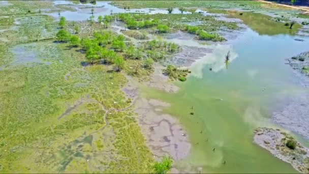 Grande pântano com lagoas de água — Vídeo de Stock