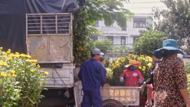 夫人看着工人装进卡车的橘树 — 图库视频影像