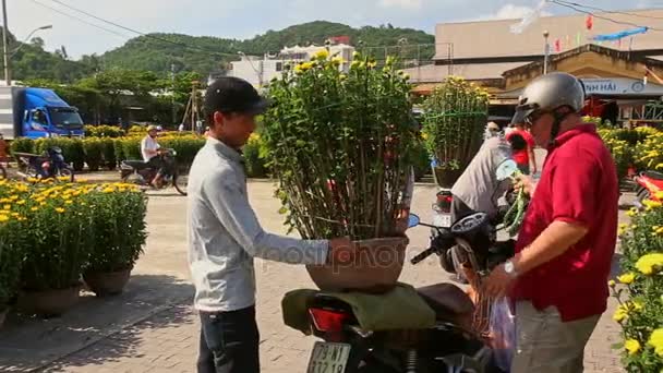 Travailleurs fixer pot de fleurs chrysanthème sur scooter — Video