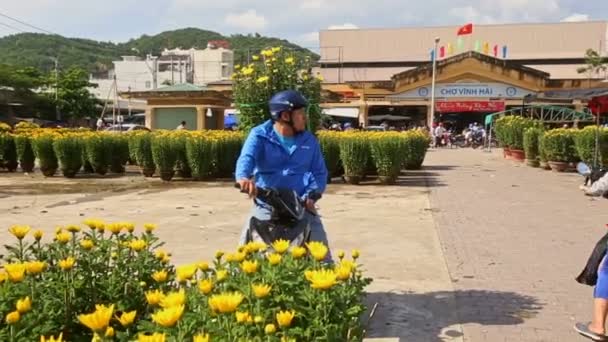 Man sits on motorbike with chrysanthemum flowers in pot — Stock Video