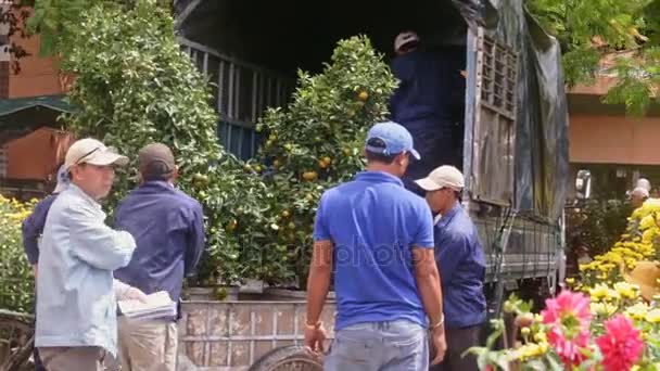 Werknemers laden tangerine boom van kar in vrachtwagen — Stockvideo