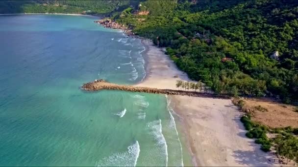 모래 해변을 따라 파도 — 비디오