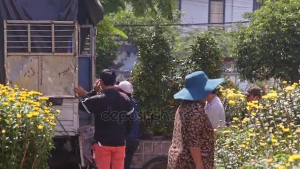Señora mira a los trabajadores cargando árboles de mandarina en camión — Vídeos de Stock