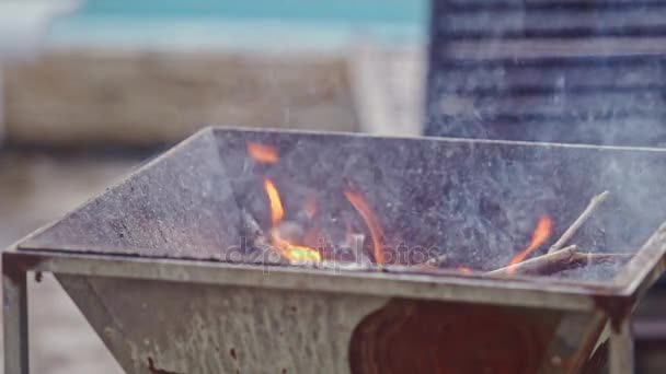 Bâtons de bois brûlent dans le feu dans le gril — Video