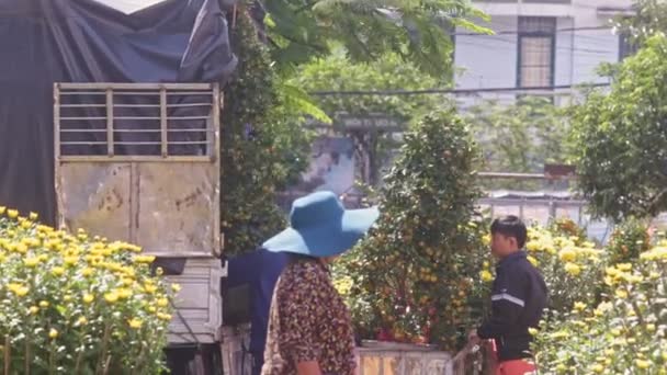 Señora mira a los trabajadores cargando árboles de mandarina en camión — Vídeos de Stock