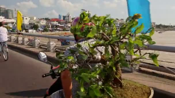 Man speeds on motorbike with green tree — Stock Video