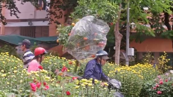 Pria bersepeda motor dengan pot pohon jeruk — Stok Video