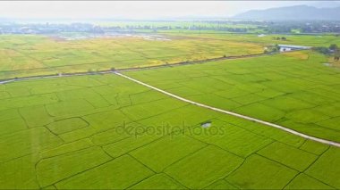 pirinç alan yol ve göl Dağları karşı 