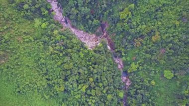 ile şelale cascade dağ nehir tropikal orman