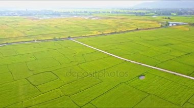 pirinç alan yol ve göl Dağları karşı 