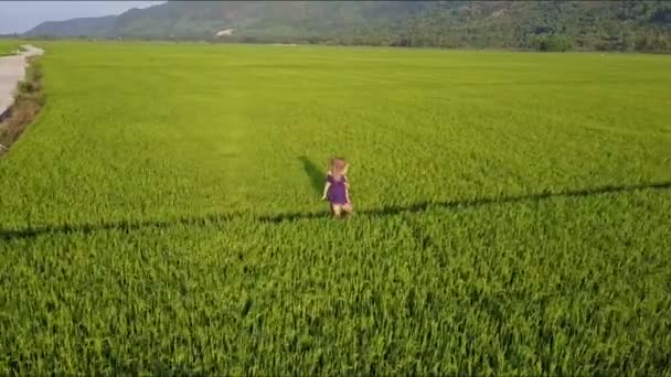 Vrouw draagt meisje in armen onder velden — Stockvideo