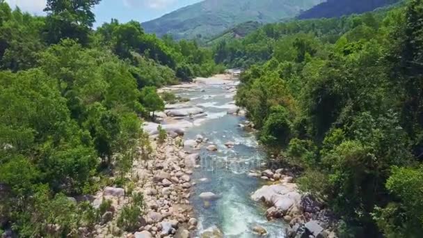 Río de montaña con piedras corriendo entre la selva — Vídeos de Stock