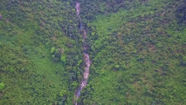 Tropisch woud met waterval trapsgewijs in berg rivier — Stockvideo