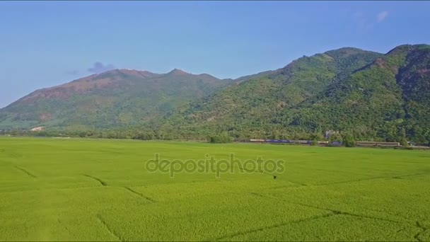 champ de riz train lointain et d'énormes montagnes 