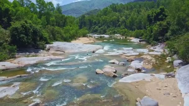 Rivière de montagne avec des pierres coulant parmi la jungle — Video