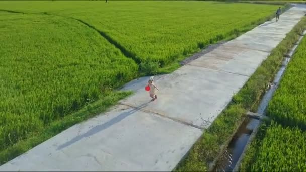 Девушка с мячом бежит по дороге среди полей — стоковое видео