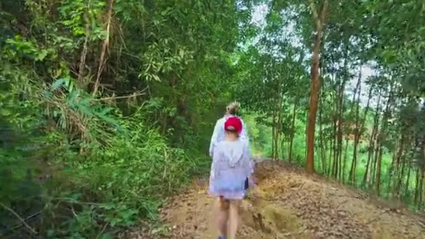地上の森林歩道の上を歩く家族 — ストック動画