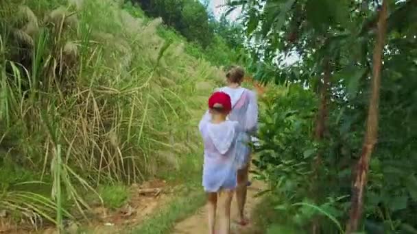 Randonnée en famille sur le sentier forestier — Video