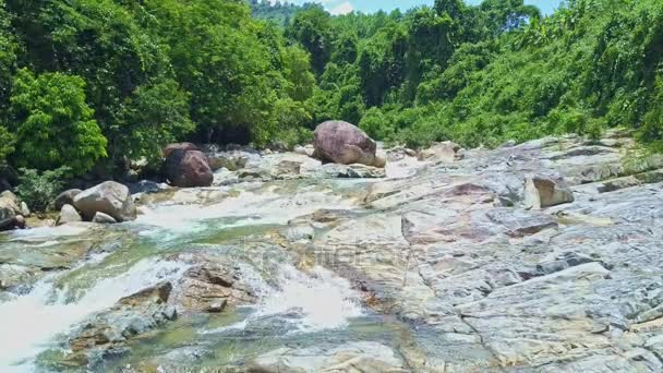 Montanha rio pedra corredeiras contra a floresta tropical — Vídeo de Stock