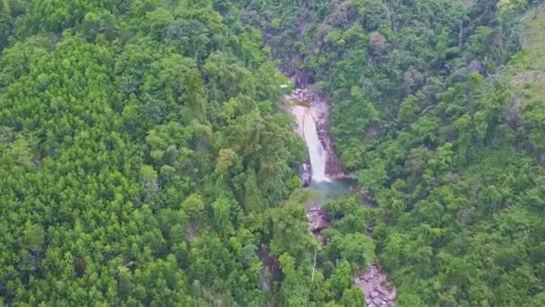 Ποτάμι βουνό με καταρράκτη επικάλυψη μεταξύ ζούγκλα — Αρχείο Βίντεο