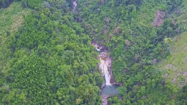 Горная река с каскадом водопадов среди джунглей — стоковое видео