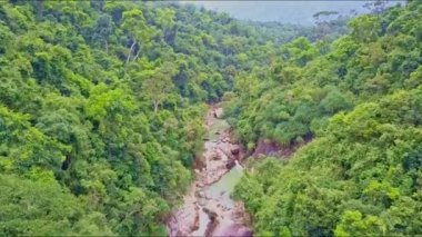dağ nehir kayalar ve şelaleler orman arasında