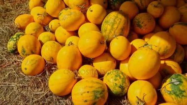 kavun yığın yerde sokak pazarında 