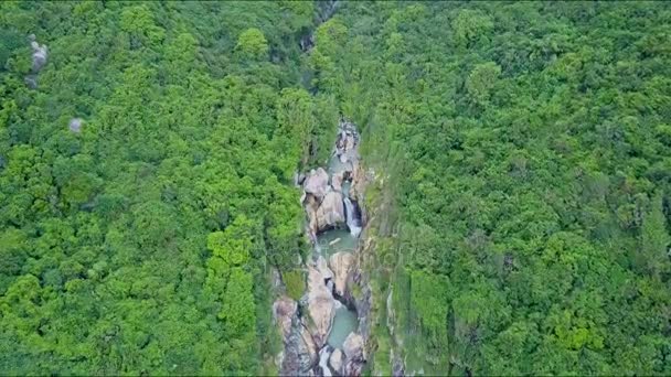 Lasu wśród gór do kaskady wodospadów w kanionie — Wideo stockowe