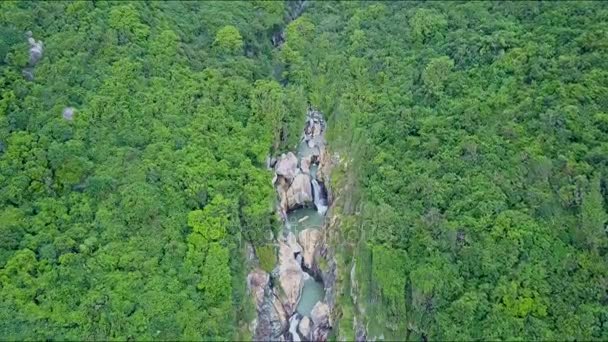 Bos onder Bergen aan watervallen cascade in canyon — Stockvideo