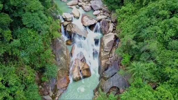 Río de montaña con rocas y cascadas entre la selva — Vídeo de stock