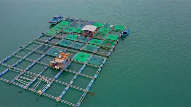 Schwimmende Hummerfarm auf Meeresoberfläche — Stockvideo
