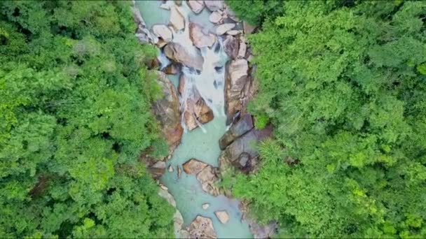 Ποτάμι βουνό με βράχια και καταρράκτες ανάμεσα σε ζούγκλα — Αρχείο Βίντεο