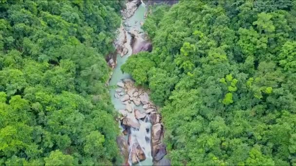 Гірська річка зі скелями і водоспадами серед джунглів — стокове відео
