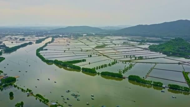 Río en condiciones de inundación con ciudad y campos — Vídeos de Stock