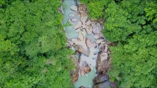 Gebirgsfluss mit Felsen und Wasserfällen im Dschungel — Stockvideo