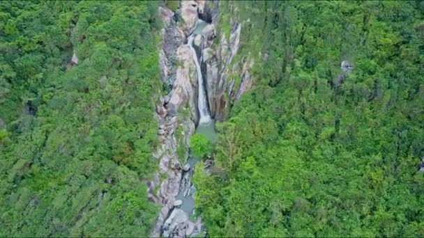 Ліс серед гір до водоспадів каскад в каньйоні — стокове відео