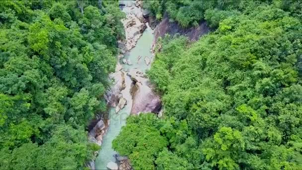 Mountain river med klippor och vattenfall bland djungeln — Stockvideo