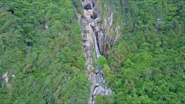 Лес среди гор к водопадам каскад в каньоне — стоковое видео