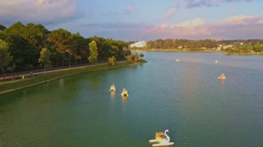 Kuğu katamaran su üzerinde yüzen ile göl 