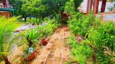 bitkiler ve çiçekler villa bahçesinde arasında yol